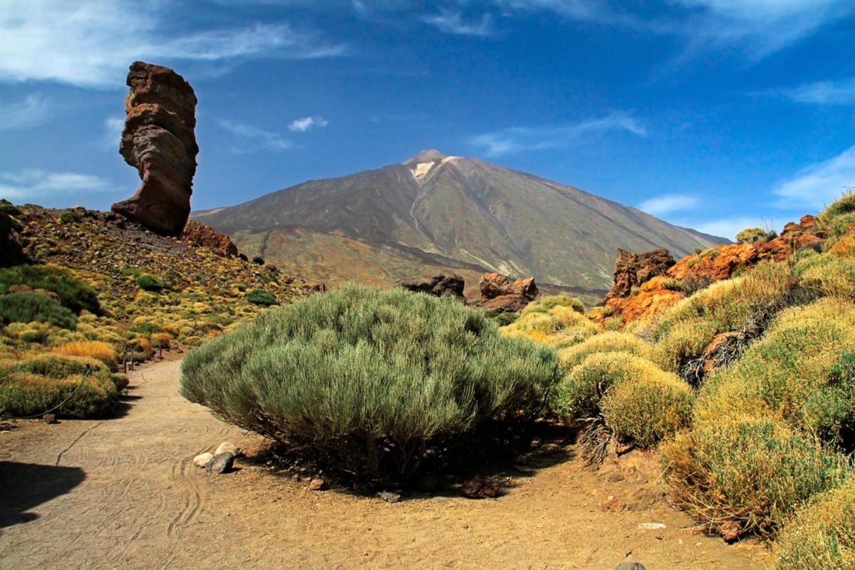 Sweet Home Los Cristianos Arona  Bagian luar foto